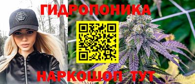 ПСИЛОЦИБИНОВЫЕ ГРИБЫ Гусиноозёрск